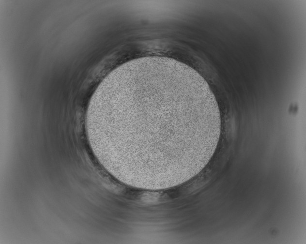 X0000112980757200910081109