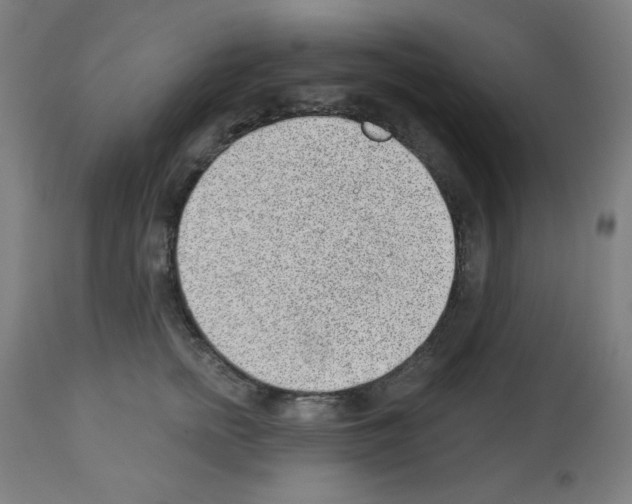 X0000112980758200910081109