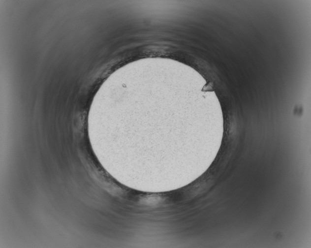 X0000112980759200910081109