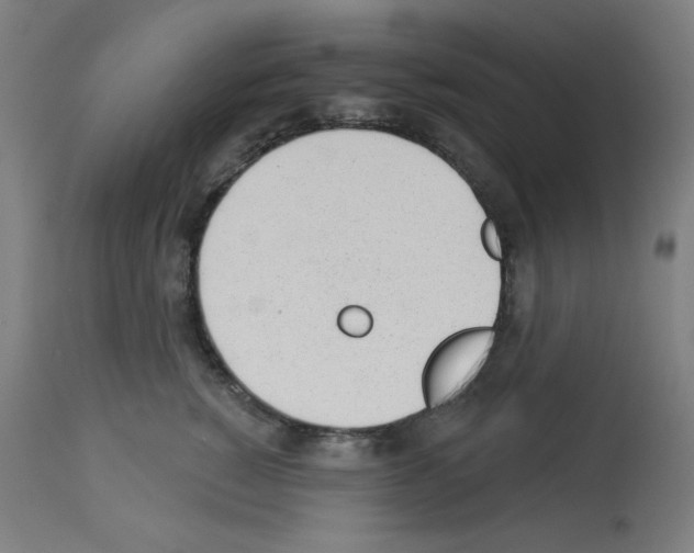 X0000112980760200910081109