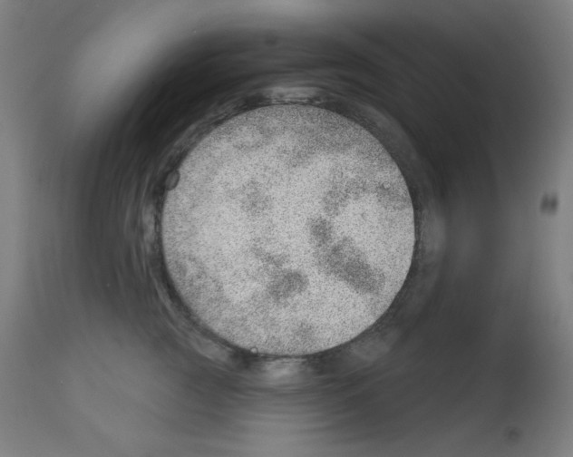 X0000112980761200910081109