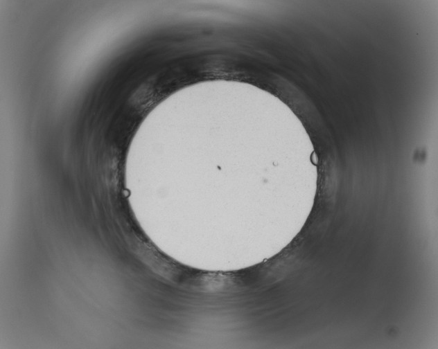 X0000112980762200910081109