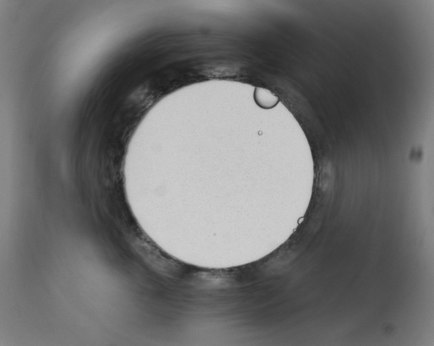 X0000112980763200910081110