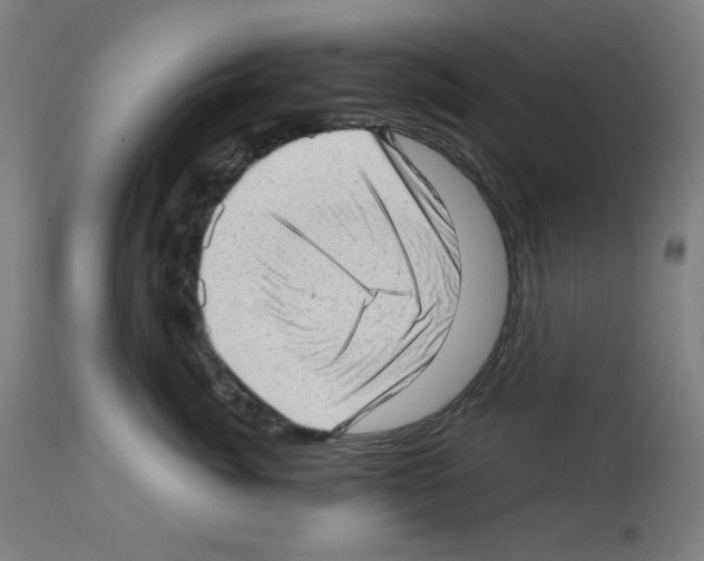 X0000112980764200910081110