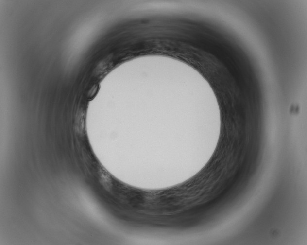 X0000112980766200910081110