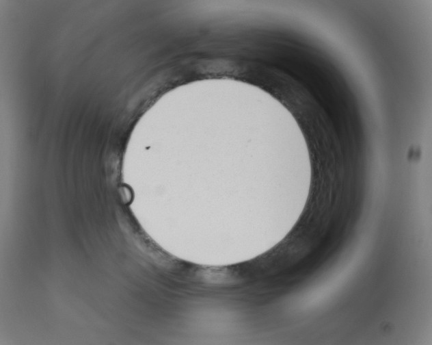 X0000112980767200910081110