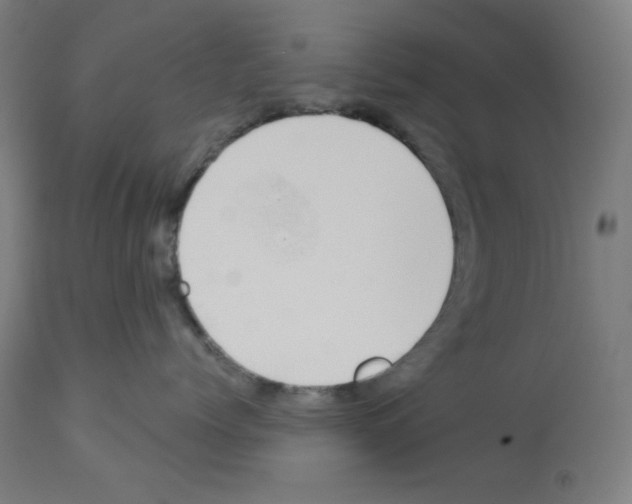 X0000112980768200910081110