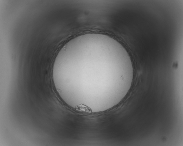 X0000112980769200910081109