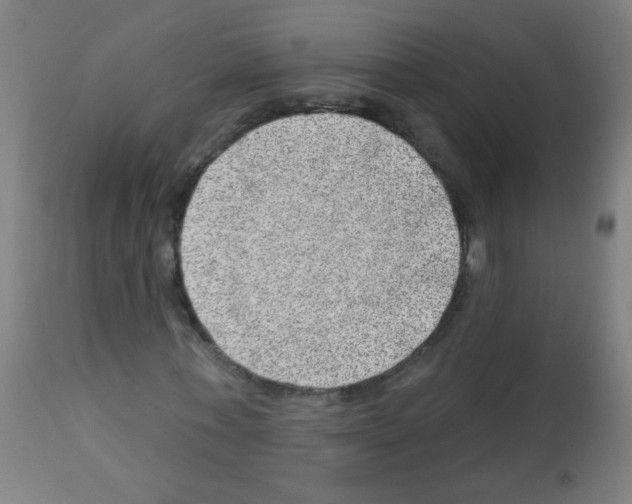 X0000112980771200910081109