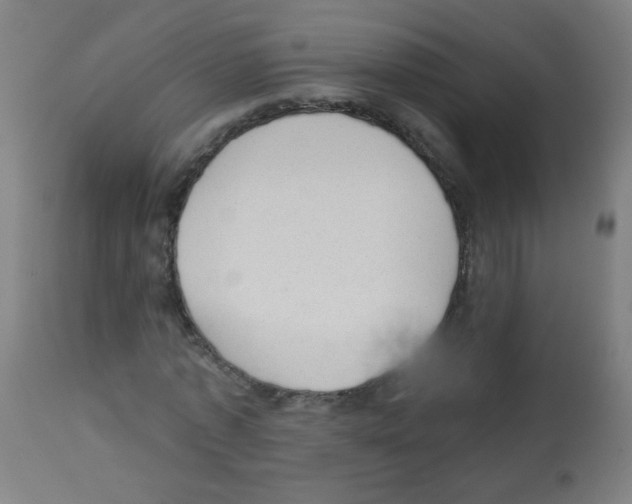 X0000112980773200910081109