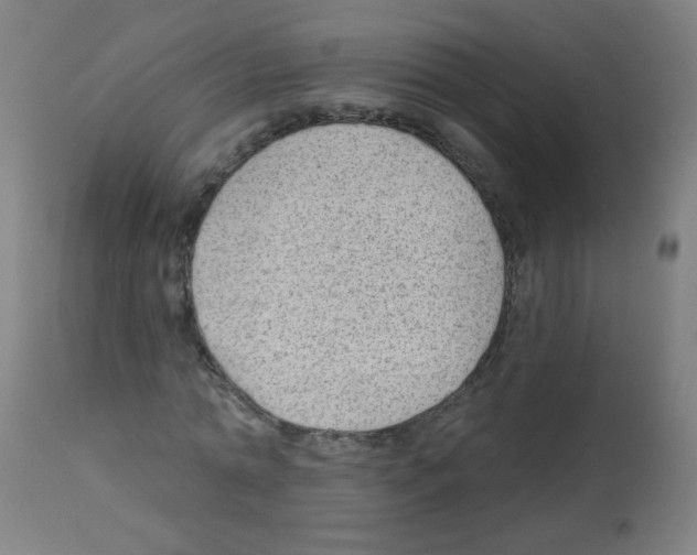 X0000112980774200910081109