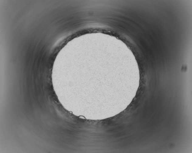 X0000112980775200910081109