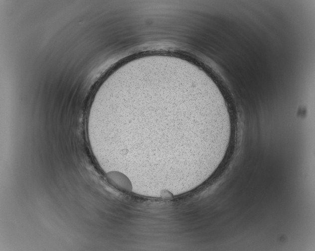 X0000112980778200910081109