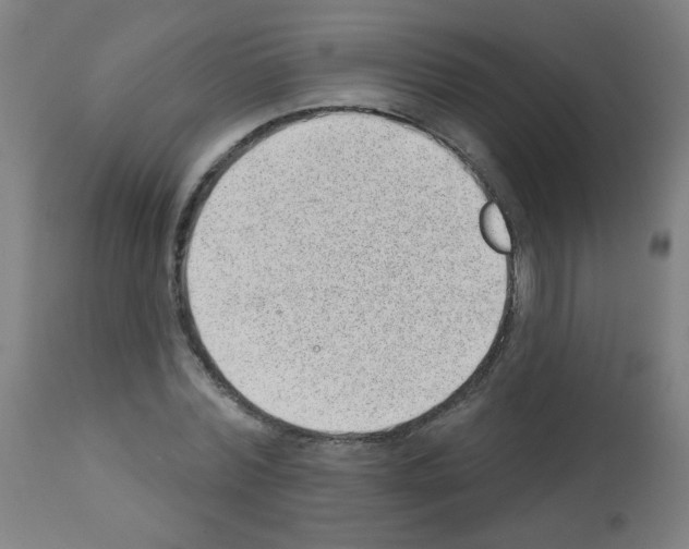 X0000112980780200910081109