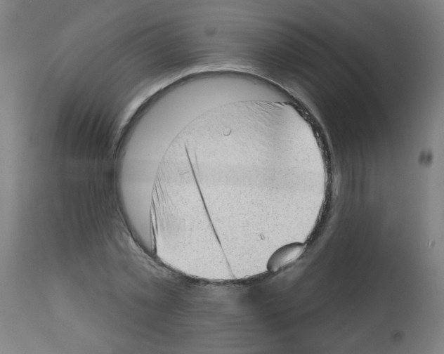 X0000112980781200910081109