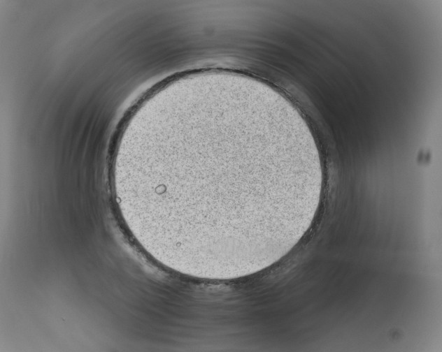 X0000112980784200910081109