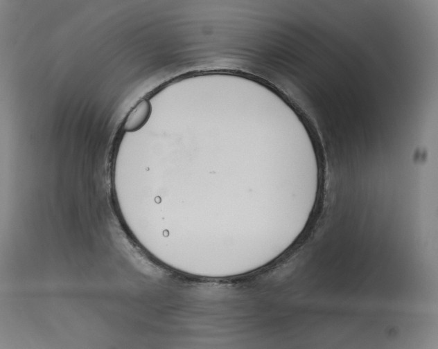 X0000112980789200910081108