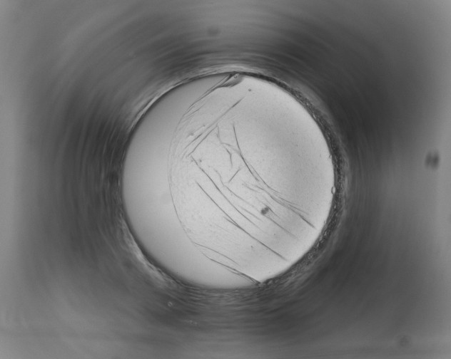 X0000112980793200910081108