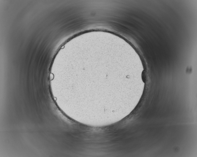 X0000112980799200910081108