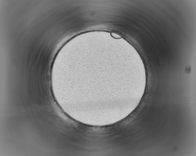X0000112980800200910081108