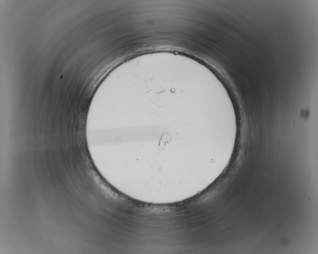 X0000112980801200910081108