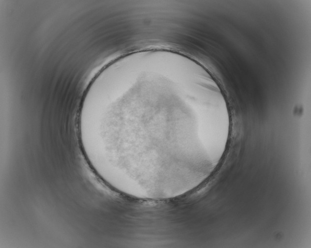 X0000112980806200910081108