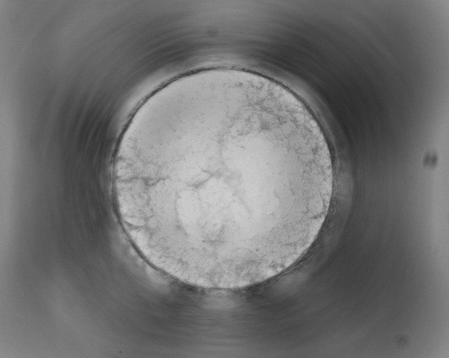 X0000112980807200910081108