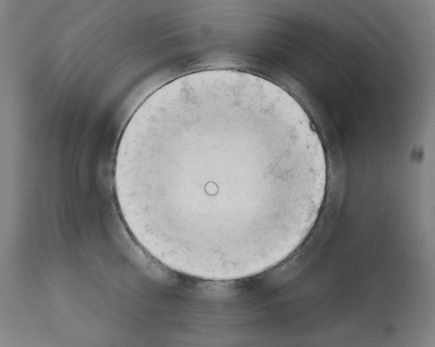 X0000112980810200910081108