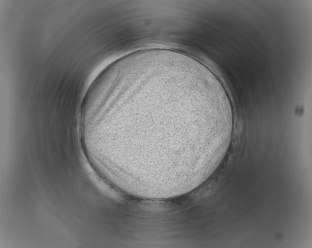 X0000112980811200910081108