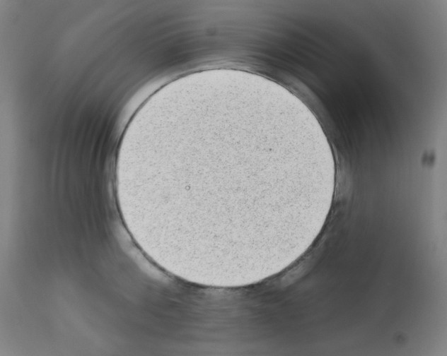 X0000112980812200910081108