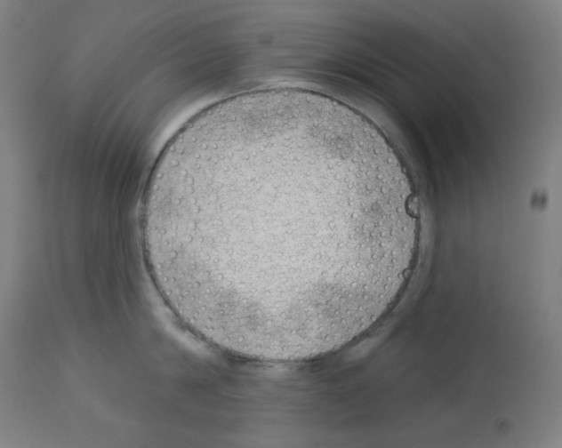 X0000112980814200910081108