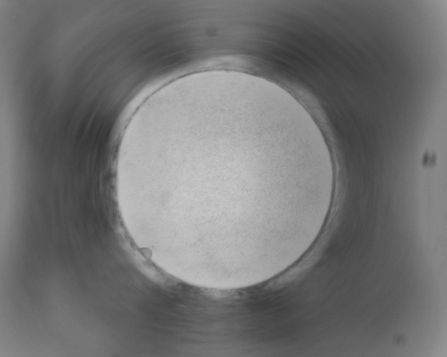 X0000112980816200910081108