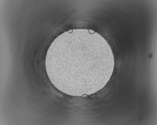 X0000112980817200910081107