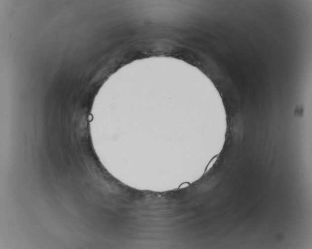 X0000112980818200910081107