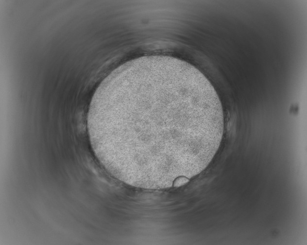 X0000112980819200910081107