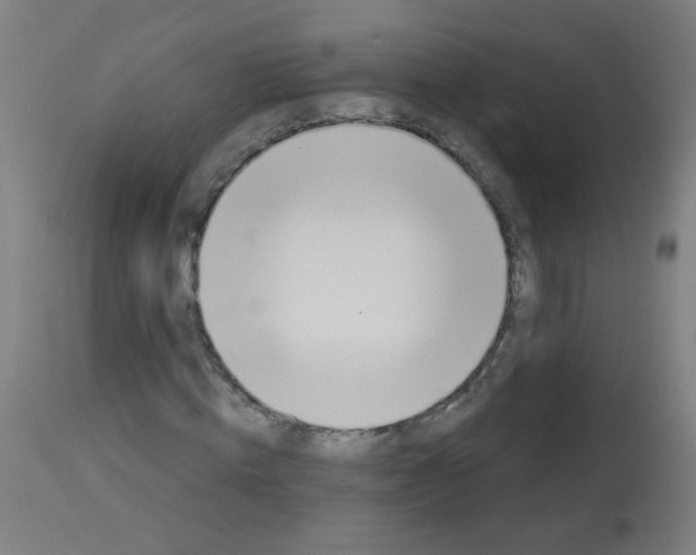 X0000112980820200910081107