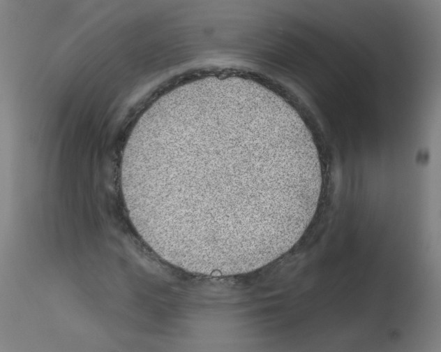 X0000112980823200910081107