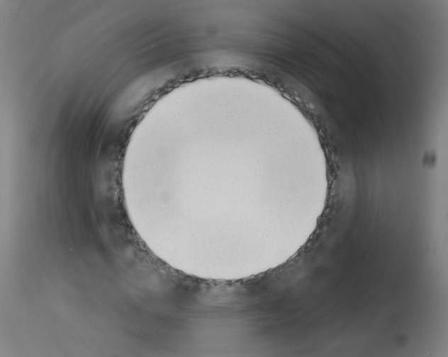 X0000112980824200910081107