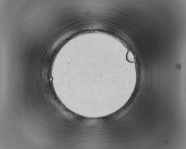 X0000112980826200910081107