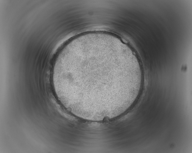 X0000112980827200910081107