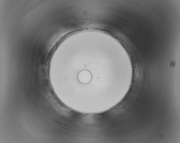 X0000112980828200910081107