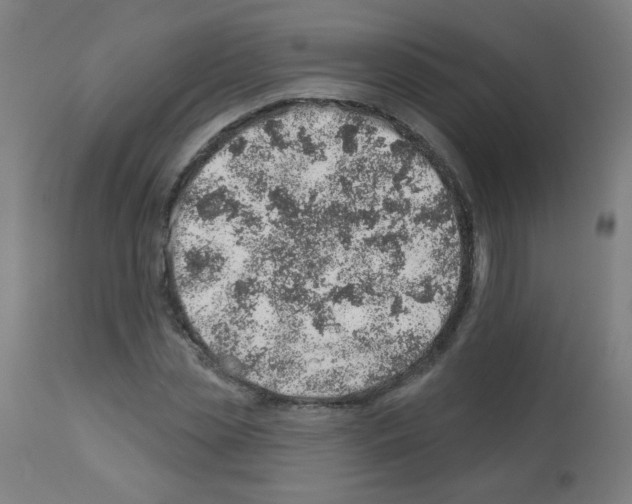 X0000112980829200910081107