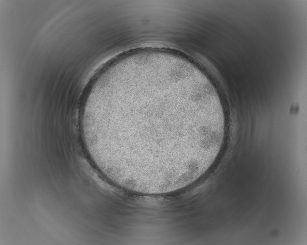 X0000112980831200910081107