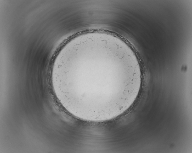 X0000112980832200910081107