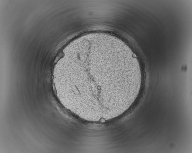 X0000112980833200910081108