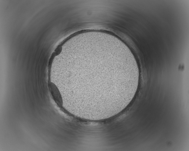X0000112980839200910081108