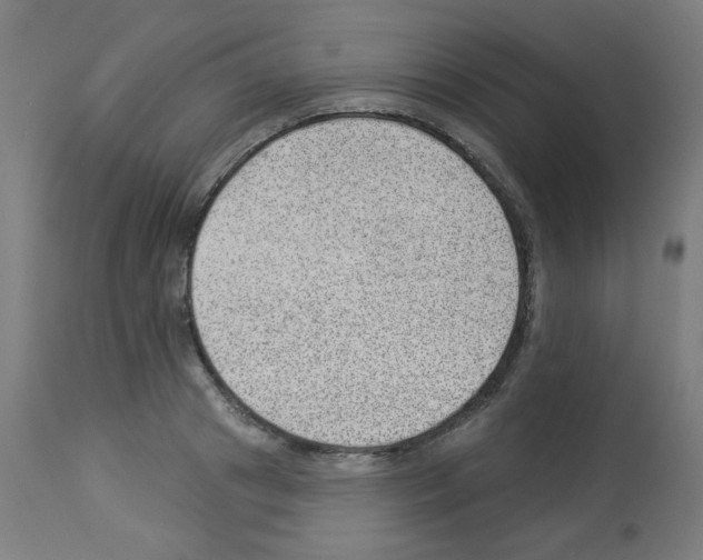 X0000112980841200910081108