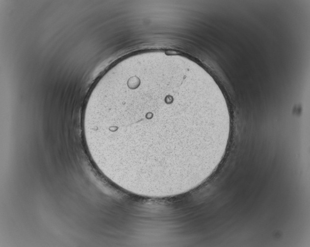 X0000112980842200910081108