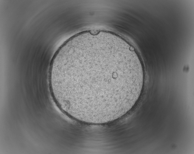 X0000112980847200910081108