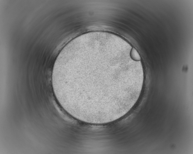 X0000112980849200910081108